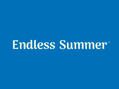 Endless Summer