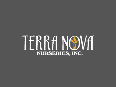 Terra Nova