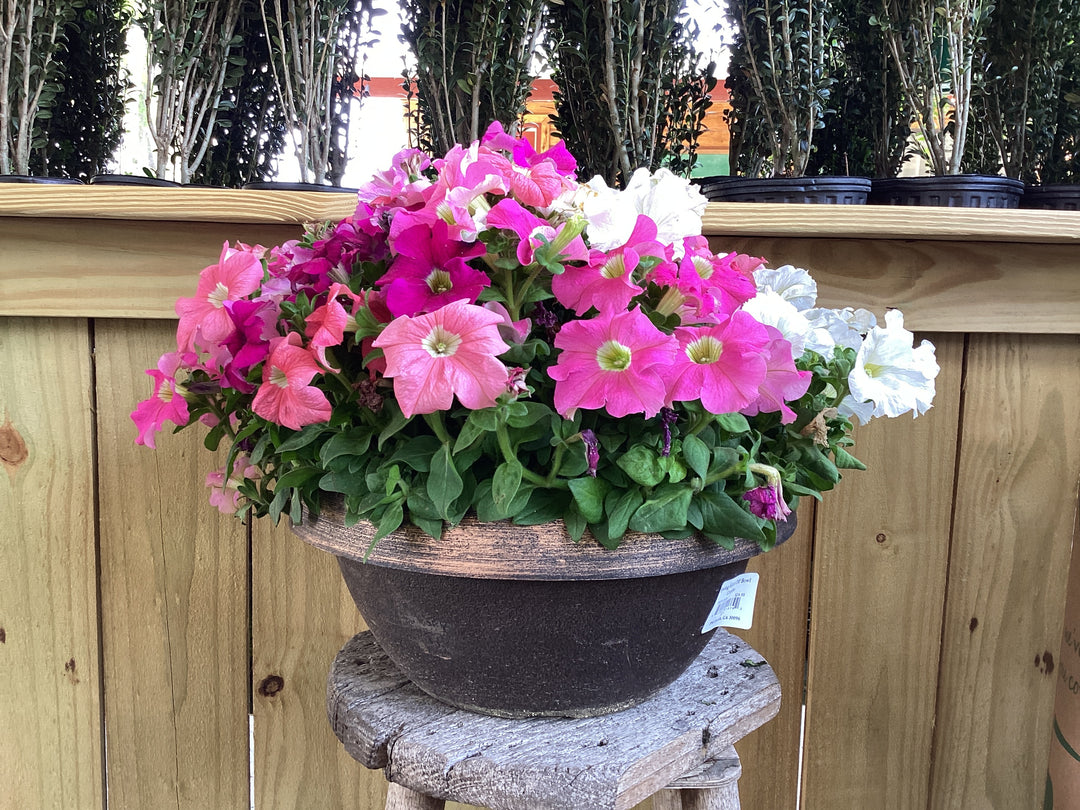 Spring Combo Basket
