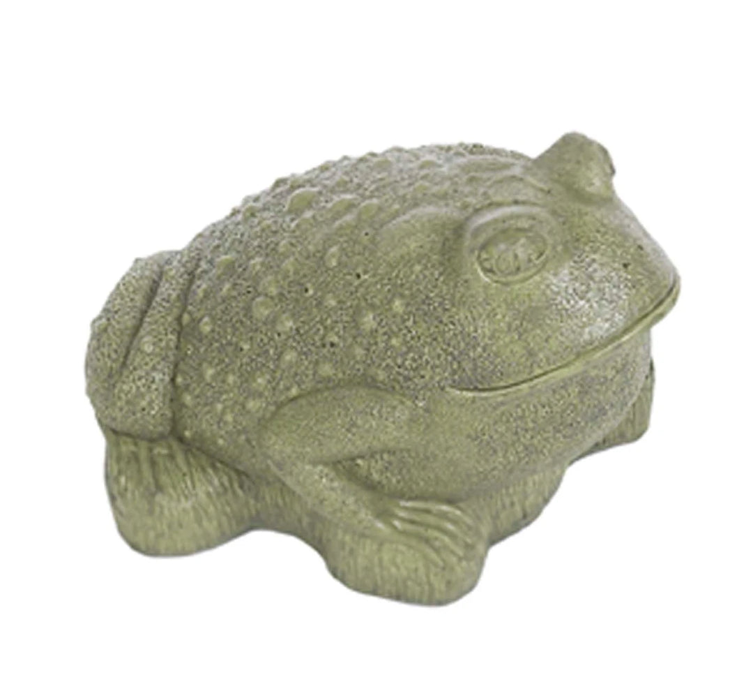 Large Bull Frog