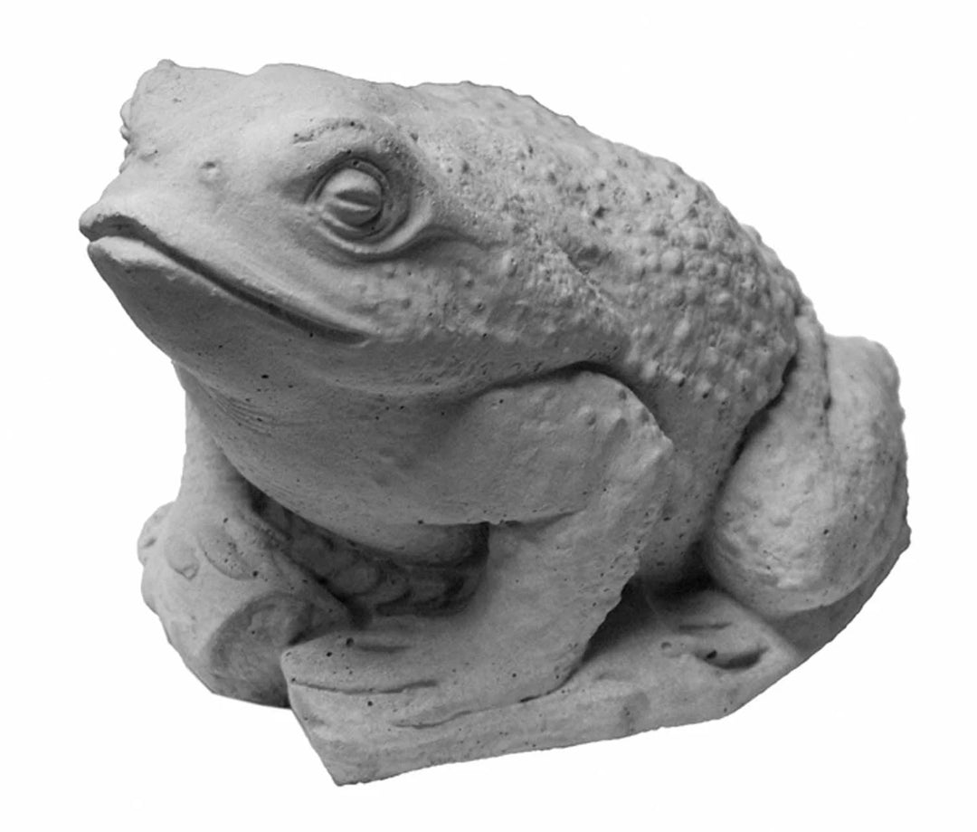 STAT Lily Frog
