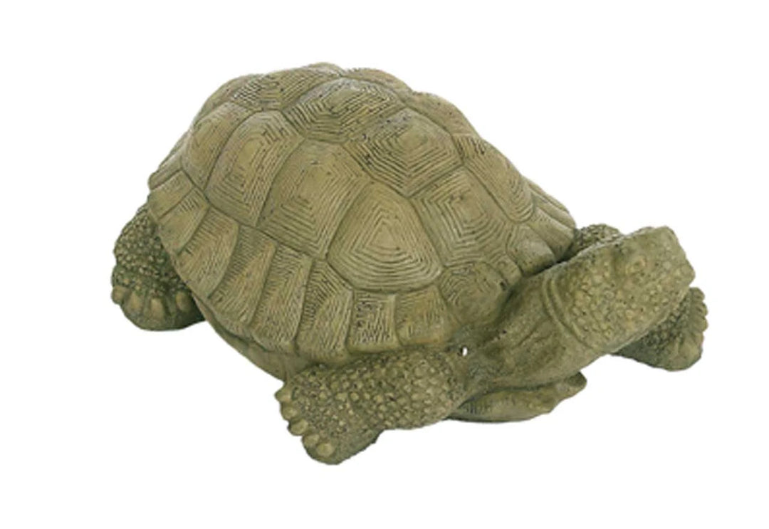 STAT Large Snapping Turtle