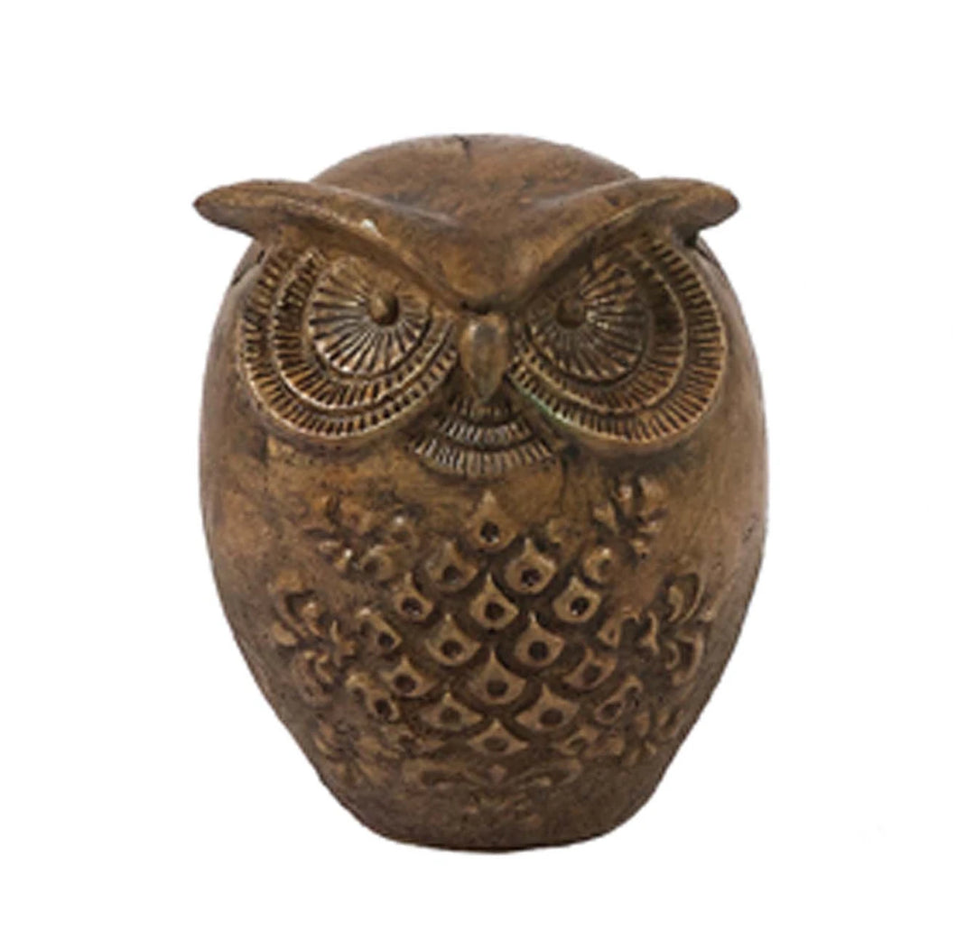 Wise Little Owl