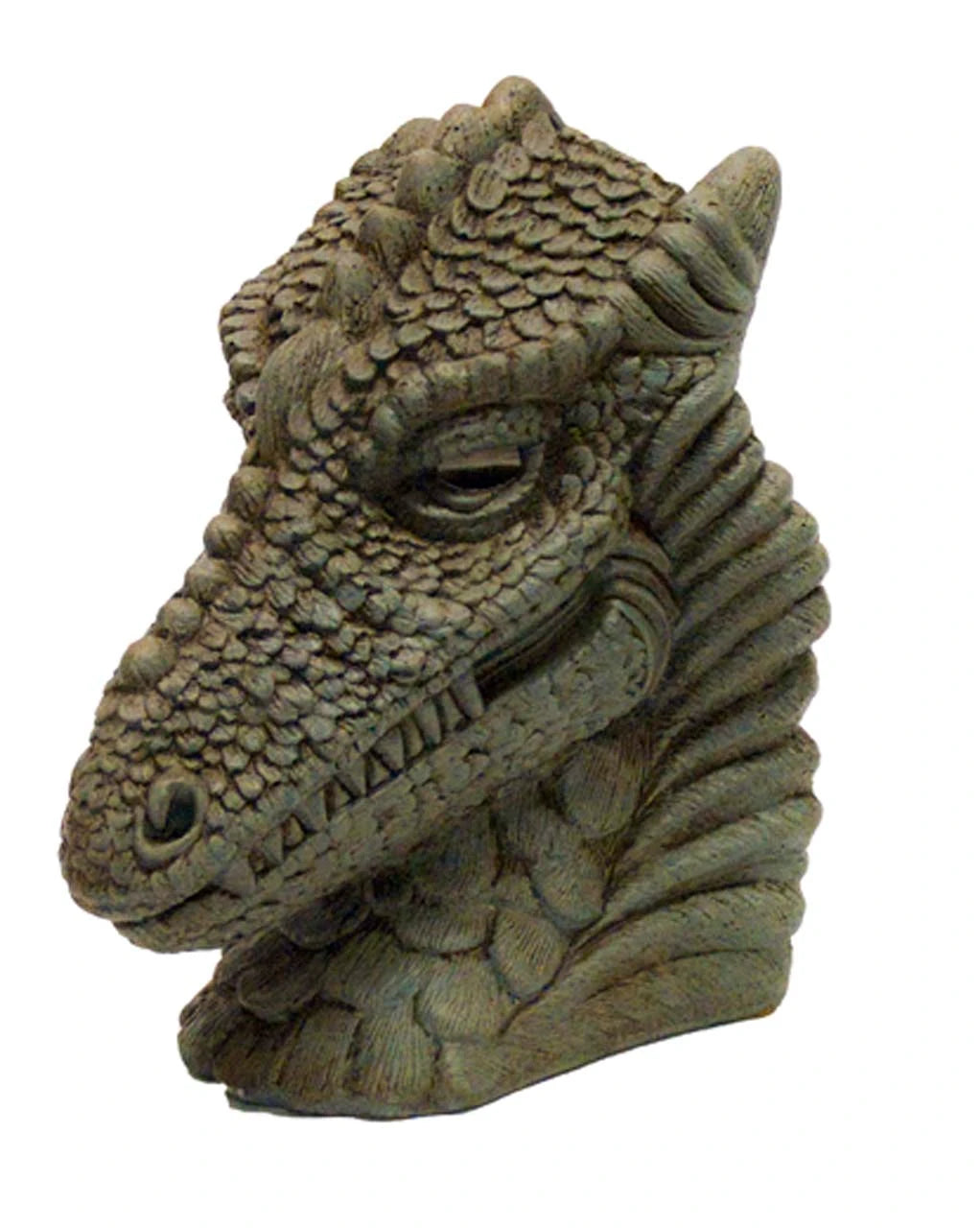 Dragon Head