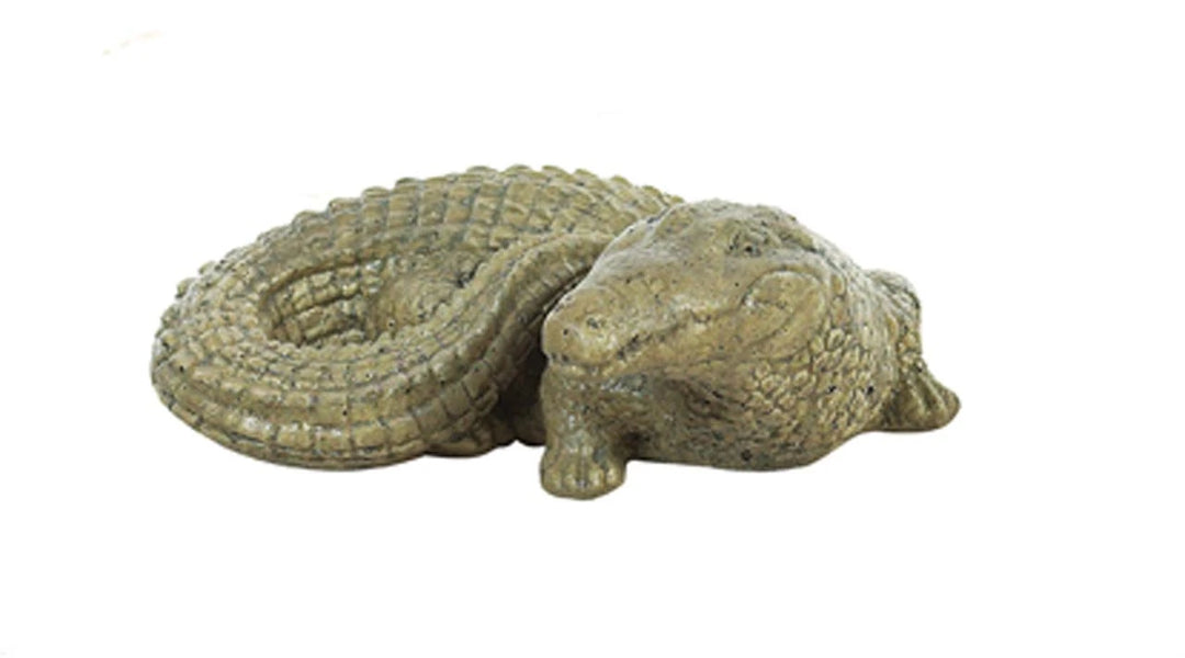 Baby Gator