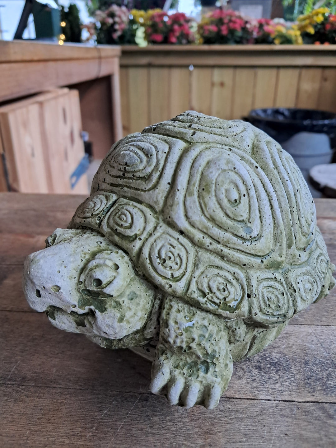 STAT Small concrete turtle