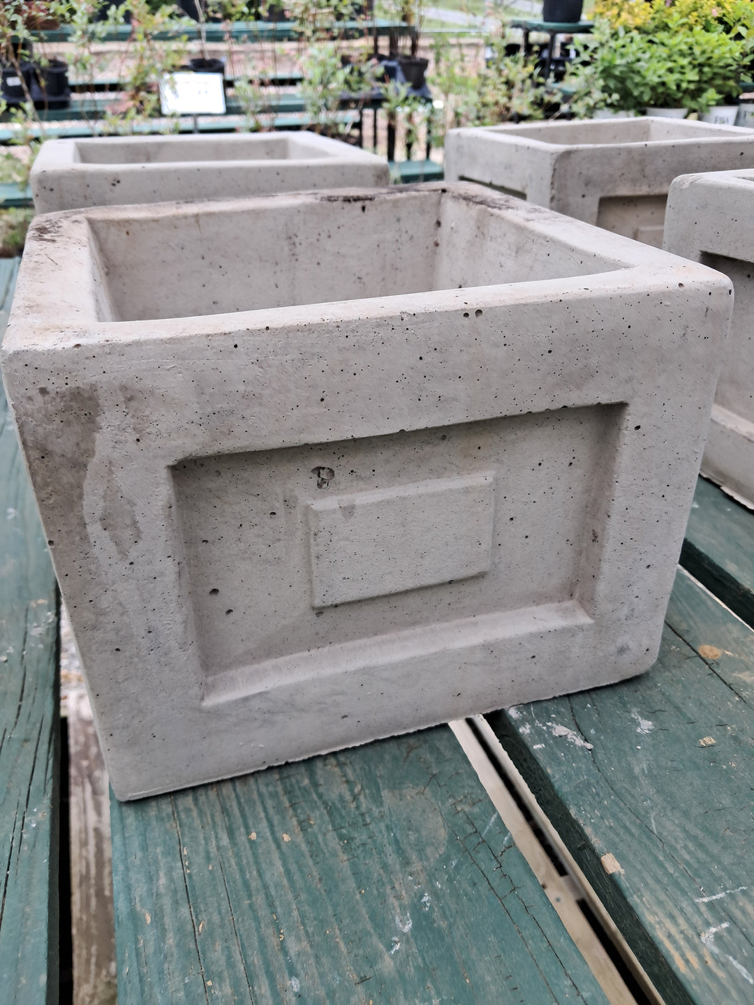 Topiary Planter - Concrete