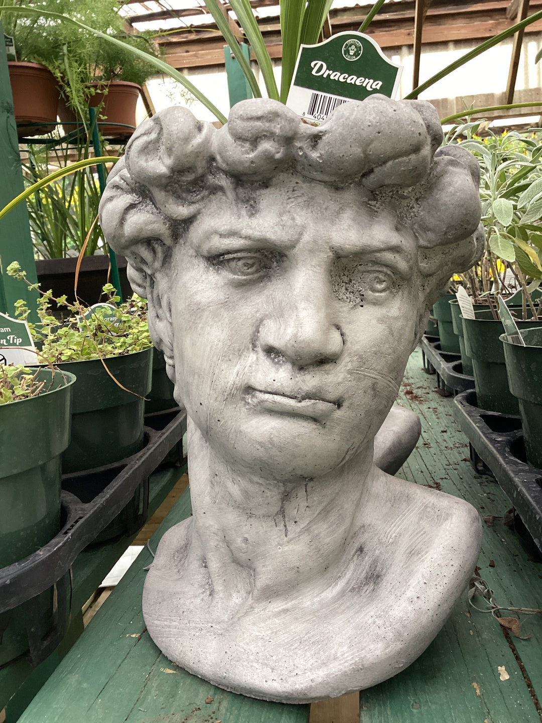 Concrete: Planter Head