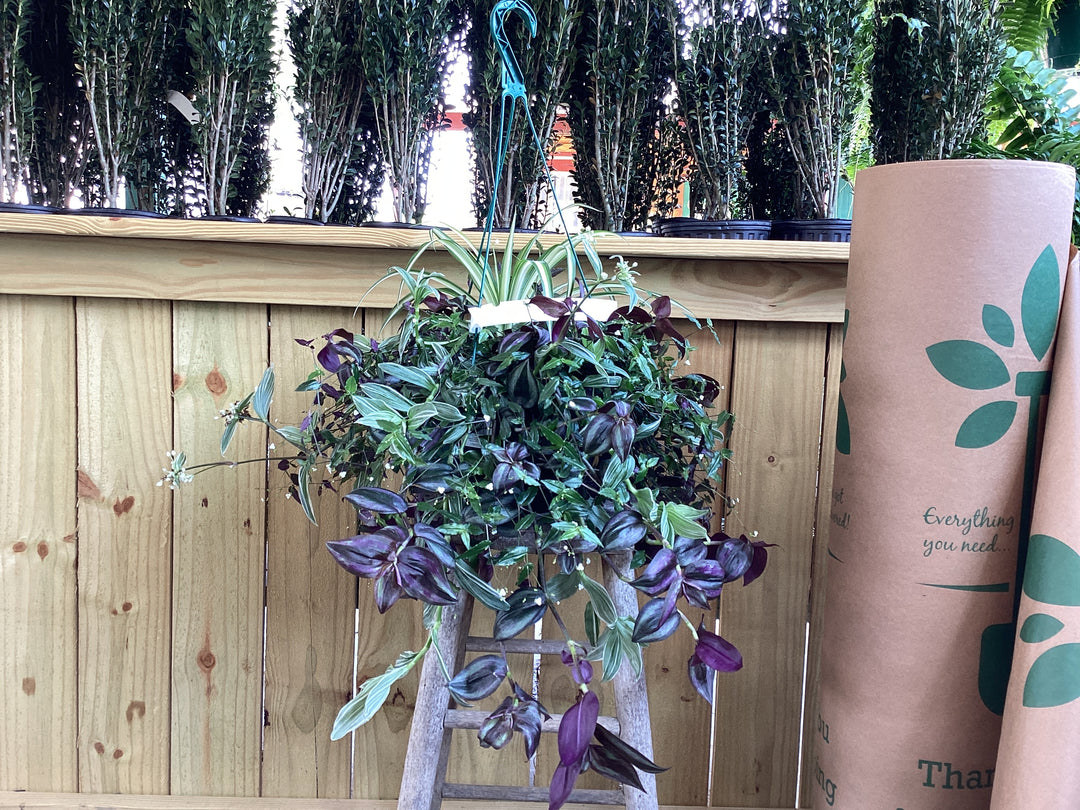 HB Hanging Basket - Shade Premium