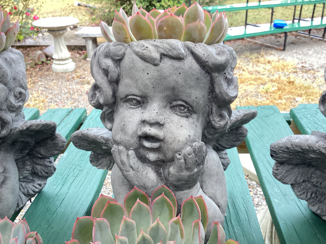 Concrete: Planter Head