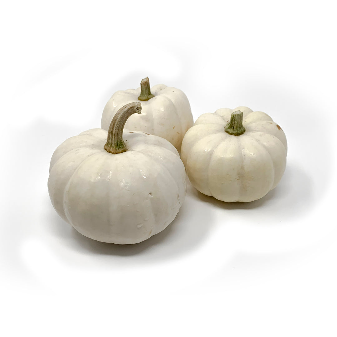 Pumkin - Baby Boo - white small