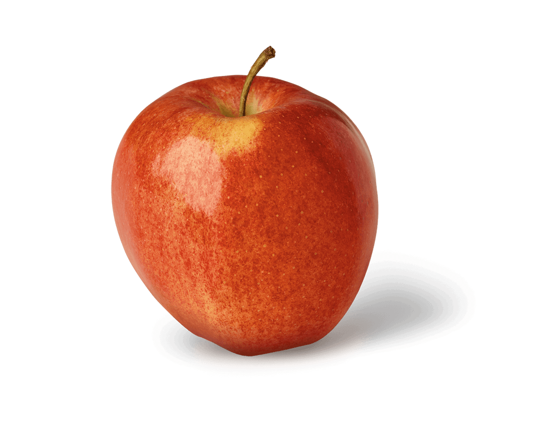 Apple Tree - Gala