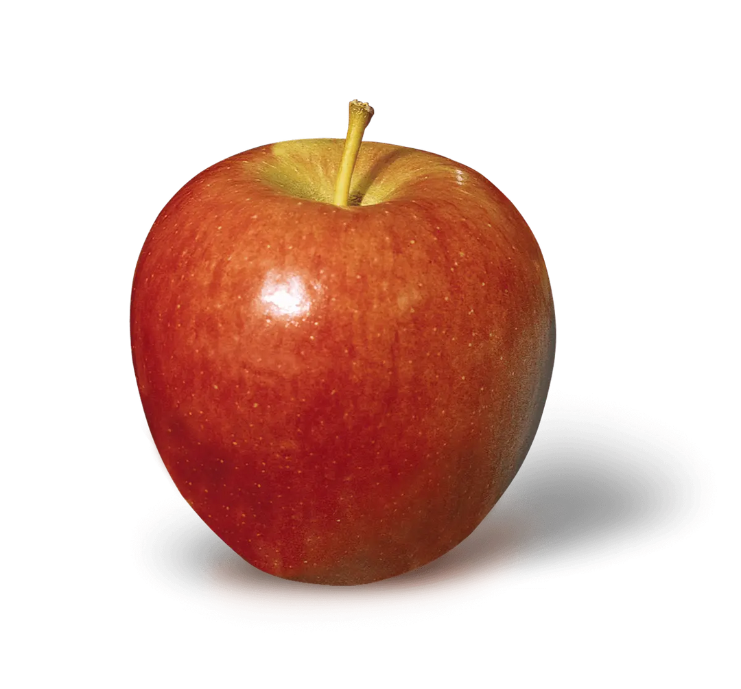 Apple Tree - Braeburn