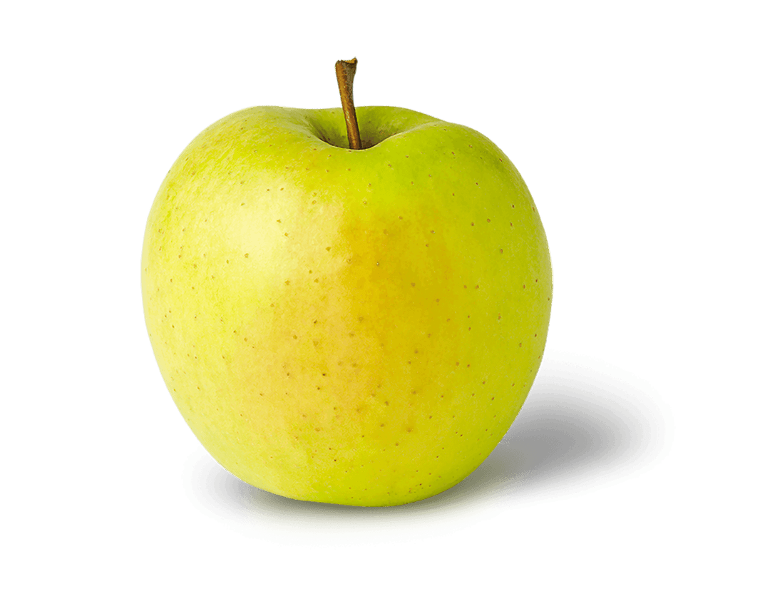 Apple Tree -  Golden Delicious