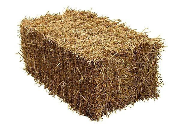 Wheat Straw Bales